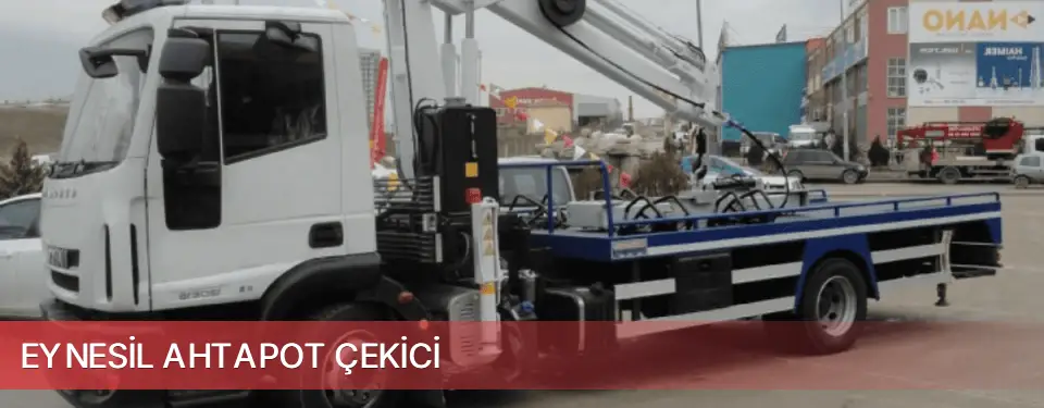Eynesil İlçemi Ahtapot Çekici