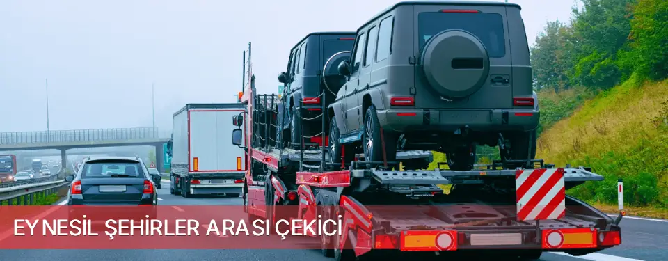 Eynesil İlçemi Şehirler Arası Çekici